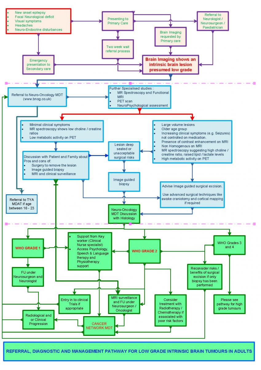 low-grade-glioma-pathway